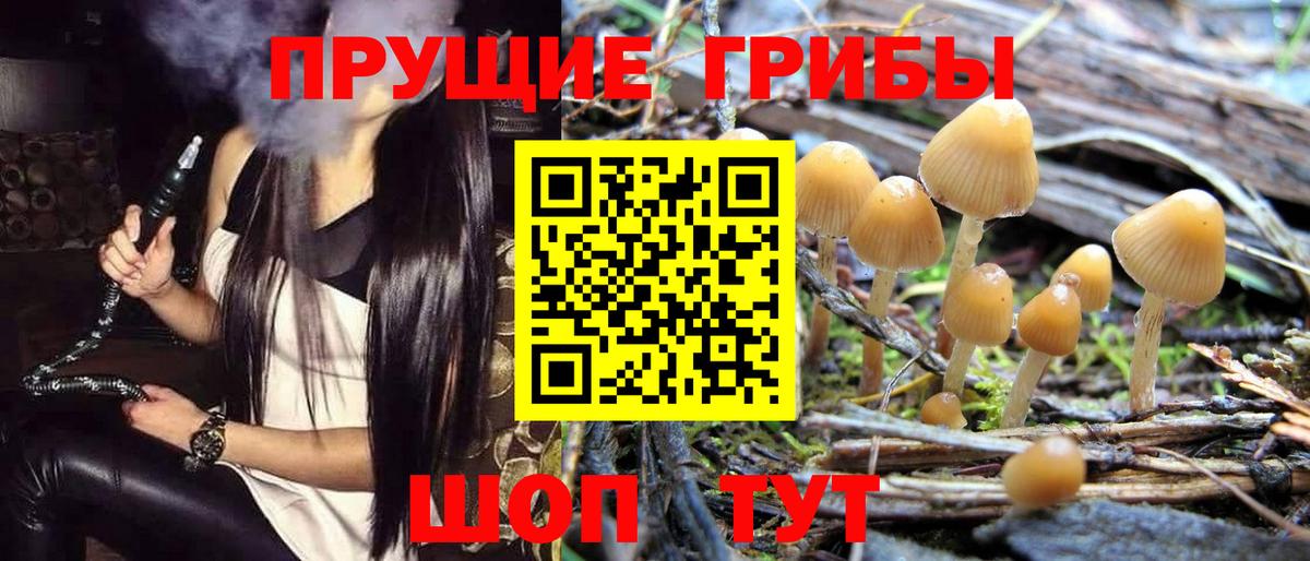 Псилоцибиновые грибы Magic Shrooms Волхов