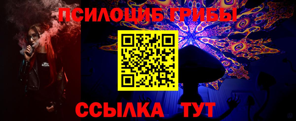 Галлюциногенные грибы GOLDEN TEACHER  Вход с VPN  как найти закладки  Волхов 
